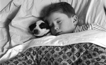 A young boy asleep with his dog