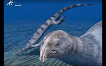 The previous depiction of the marine reptile Atopodentatus Unicus as it swam under the sea.