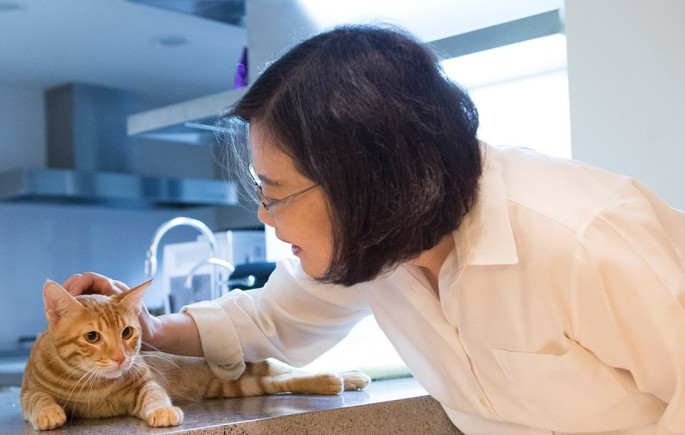 A known cat-lover, the unmarried president used pets Xiang Xiang and Ah Tsai on her campaign videos. 