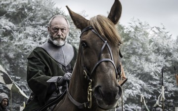 Liam Cunningham plays Ser Davos Seaworth, also known as the Onion Knight, in the HBO epic-fantasy series 'Game of Thrones.'