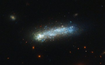 In this new image from the NASA/ESA Hubble Space Telescope, a firestorm of star birth is lighting up one end of the diminutive galaxy LEDA 36252 — also known as Kiso 5649.