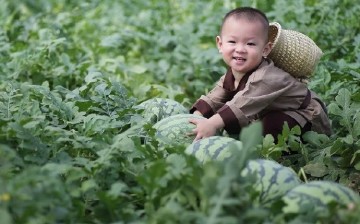 Melon Baby is the son of a Sichuan Province farmer surnamed Zhang.