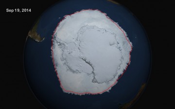 A satellite image of sea ice circling the Antarctic continent in September 2014, the Southern Hemisphere winter.