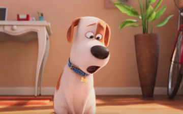 The dog Max (voiced by Louis C.K.) misses his owner when left at home.  