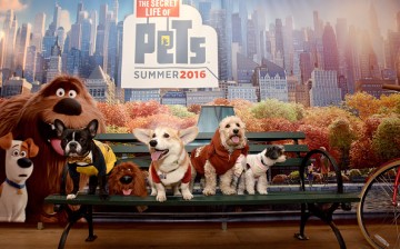 'The Secret Life of Pets' did very well as it earned over $103 million when it opened in the weekend.