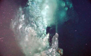 The last universal common ancestor of all life on Earth is a microbe that used to dwell near deep sea vents and underwater volcanoes.