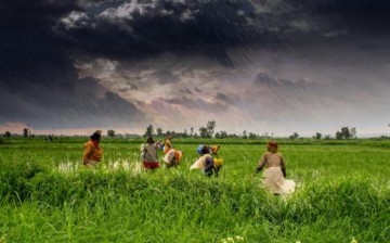 Monsoon rains in India.
