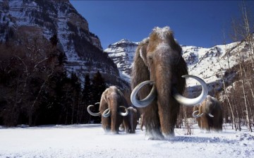 The last woolly mammoth populations existed some 5,600 years ago.