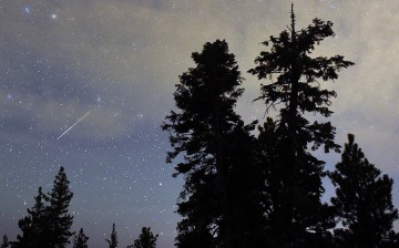 A Perseid meteor streaks across the sky above desert pine trees on August 13, 2015 in the Spring Mountains National Recreation Area, Nevada. The annual display, known as the Perseid shower because the meteors appear to radiate from the constellation Perse