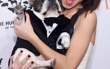 Christina Grimmie with Baxter attend the 2015 To The Rescue! New York Gala at Cipriani 42nd Street on November 13, 2015 in New York City.  