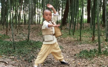 Master of the Shadowless Kick: Wong Kei-ying
