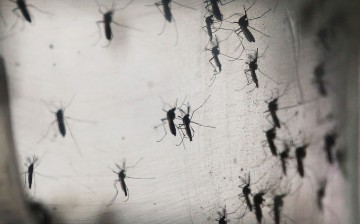 China implements new rules on importation to prevent spread of Zika virus.