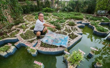 A 75-year-old retired teacher of Jiexi County, in south China's Guangdong Province recently completes a giant model of a Chinese map on the terrace of his home. The project took him a whole year to complete. 