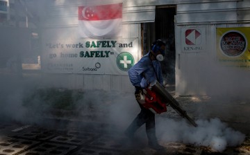 Zika Virus Spreads In Singapore And Neighbouring Countries