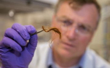 Biochemist Glendon Parker examines a 250-year-old archaeological hair sample analyzed for human identification using protein markers from the hair.