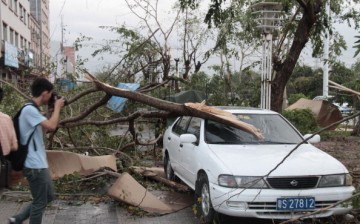 Eight Dead In Dongguan Storm
