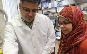 Pablo Sobrado, a professor of biochemistry, and his graduate student Heba Adbelwahab study antibiotic resistance.