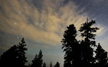 A Perseid meteor streaks across the sky above desert pine trees on Aug. 13, 2015, in the Spring Mountains National Recreation Area, Nevada.