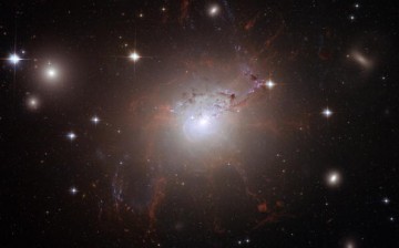 This handout image of the giant, active galaxy NGC 1275, obtained Aug. 21, 2008, was taken using the NASA/ESA Hubble Space Telescope's Advanced Camera for Surveys in July and Aug. 2006.