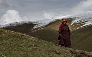 A Tibetan nomad takes a break from harvesting cordycep fungus on the 15th day of Saka Dawa, the holiest day in the Buddhist calendar.