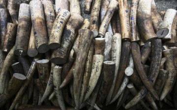 A total of 182 wildlife smugglers were detained after an international joint law enforcement campaign. 
