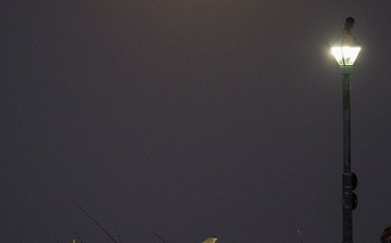 Massive 'Super Moon' Rises Over U.S.