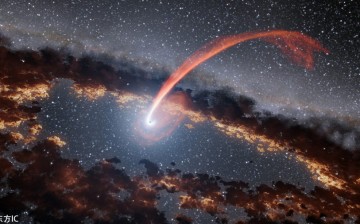 This illustration released on Sept. 15, 2016 shows a glowing stream of material from a star, disrupted as it was being devoured by a supermassive black hole.