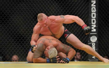 Brock Lesnar lands powerful strikes in a dominant position against Mark Hunt in their UFC 200 encounter.