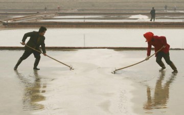 Chinese laborers work at a salt field on the outskirt of Weifang City on April 21, 2006, in Shandong Province of China.