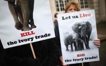 Anti-ivory protesters outisde the Illegal Wildlife Trade Conference