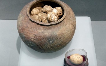 A pot of ancient eggs is on display at the Nanjing Museum, Jan 7, 2017. 