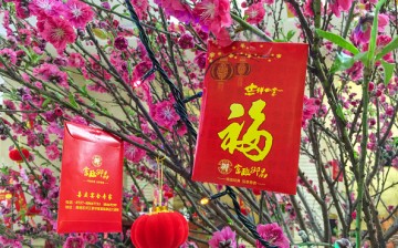 Red envelopes hanging on a peach tree as decoration in Foshan, Guangdong Province.