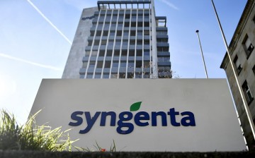 The logo of Swiss pesticide and seed company Syngenta is displayed in front of its headquarters in Basel. 