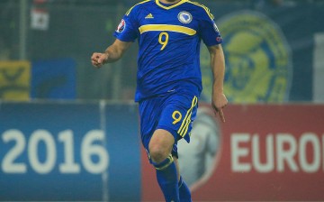 Hertha Berlin and Bosnia captain Vedad Ibisevic.