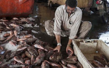 Pakistani fishermen are now selling fish to China, thanks to the new Silk Road.