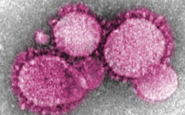 Novel Coronavirus nCoV