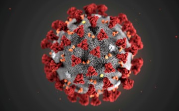 The ultrastructural morphology exhibited by the 2019 Novel Coronavirus (2019-nCoV) is seen in an illustration released by the Centers