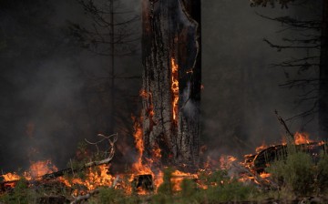The Bootleg Fire burns through vegetation near Paisley, Oregon, U.S.