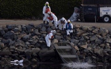Clean-up crews work to mitigate the damage in an ecological estuary after a major oil spill off the off the coast of California came ashore in Huntington Beach, California, U.S.