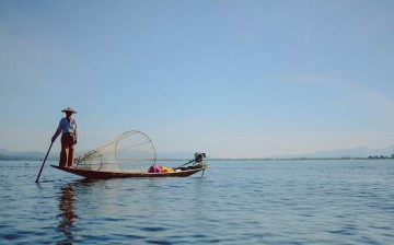 Sustainable Fish Farming: A Complete Guide