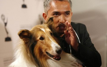 'Dog Whisperer' star Cesar Millan