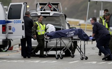 Car Crash in Malibu