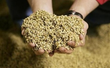 As a result of population growth and urbanization, the country will need to provide 700 million tons of grain by 2020. 