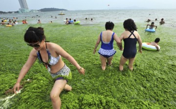 Residents walk amid the algae-filled coastline of Huang Xiaoming’s hometown of Qingdao in 2011.