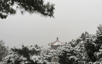 Snowfall in Beijing on the second day of the Chinese New Year holidays.