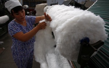 Xinjiang cotton producers are opposing moves by the government to end the stockpiling of cotton that results in inflated prices. 