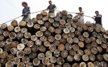 Laborers tie a rope to pile logs at a timber market in Huaibei, Anhui Province.