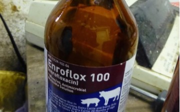 A bottle of antibiotics