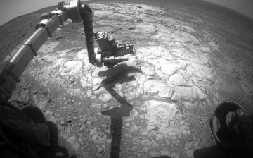 NASA's Mars Exploration Rover Opportunity has extended its robotic arm for studying a light-toned rock target called 