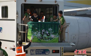 A new pair of giant pandas, given by China's central government as gifts to the Macau Special Administrative Region (SAR), arrives on April 30, 2015, amid warm welcome from the local people.
